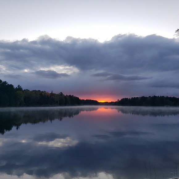 Meet your Posher, Holly - Picture 1 of 1